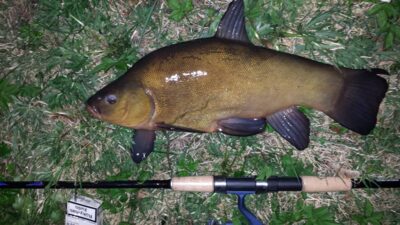 Lynas, 2,0 kg