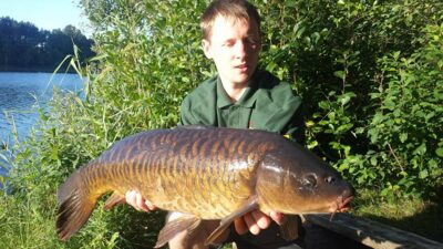 Paprastasis karpis, 8,4 kg — Ilgis
