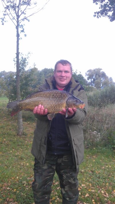 Paprastasis karpis, 4,0 kg — Sartai