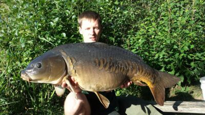 Paprastasis karpis, 16,1 kg — Ilgis