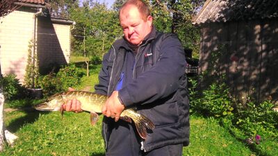 Lydeka, 2,0 kg — Vadakstis