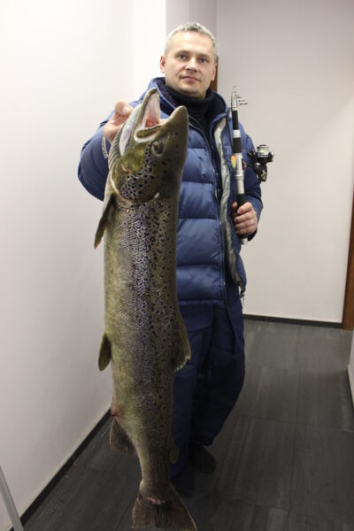 Atlantinė lašiša, 6,7 kg — Neris