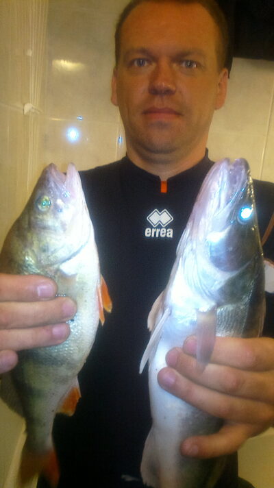 Starkis, 0,8 kg