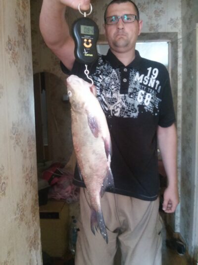 Karšis, 0,8 kg — Alovės