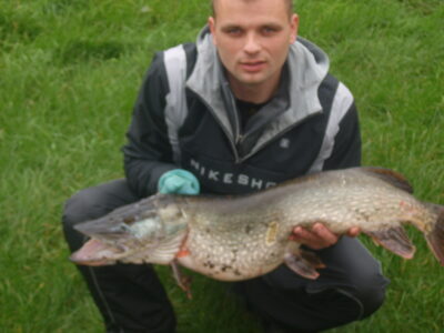 Lydeka, 8,0 kg