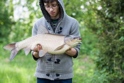 Baltasis amūras, 7,0 kg