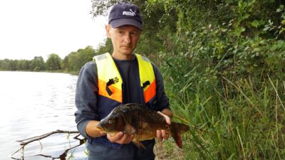 Paprastasis karpis, 1,5 kg
