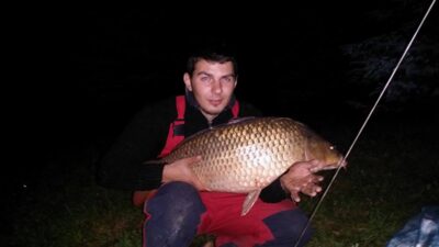 Paprastasis karpis, 12,7 kg
