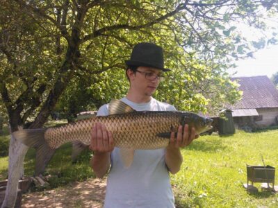 Baltasis amūras, 6,5 kg