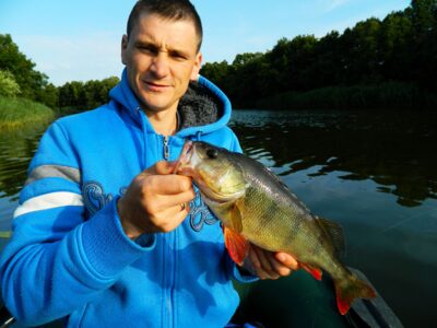 Ešerys, 0,7 kg — Minija