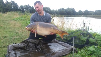 Paprastasis karpis, 13,2 kg