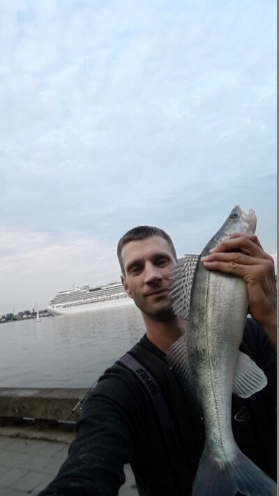 Starkis, 1,3 kg