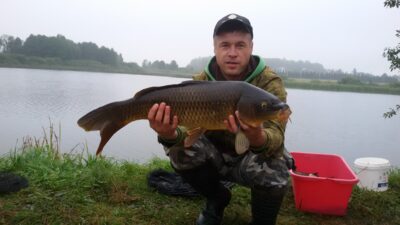 Paprastasis karpis, 4,2 kg — Krivilių