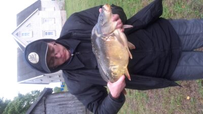 Paprastasis karpis, 4,5 kg — Angininkų