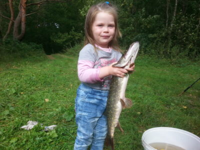 Lydeka, 1,2 kg — Neris
