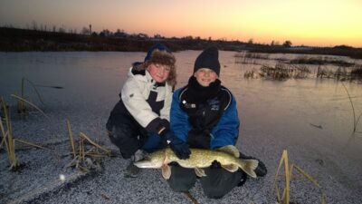Lydeka, 2,8 kg