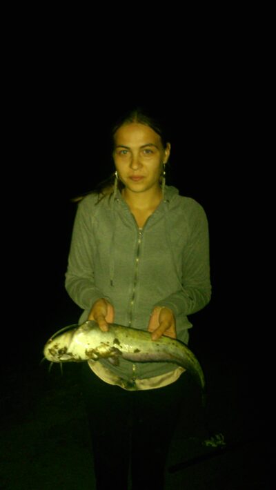 šamas, 1,5 kg — Nemunas