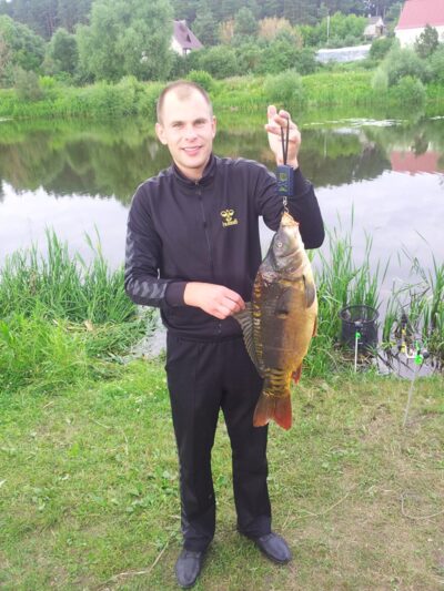 Paprastasis karpis, 5,6 kg