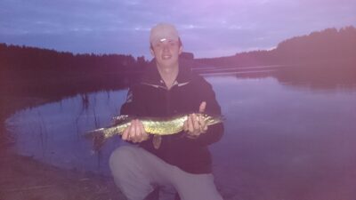 Lydeka, 0,8 kg — Šalnaitis