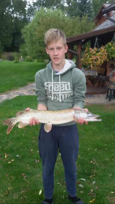 Lydeka, 3,0 kg