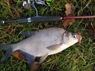 Karšis, 0,5 kg — Danė