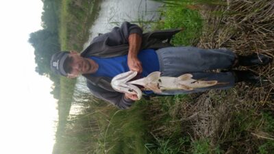 Lydeka, 6,4 kg — Mituva