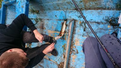 Lydeka, 0,8 kg — Loch of Aboyne