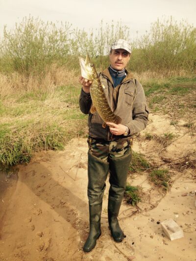 Lydeka, 2,9 kg