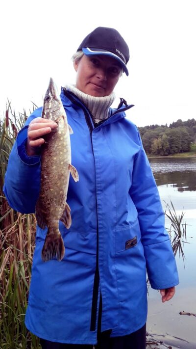 Lydeka, 0,7 kg