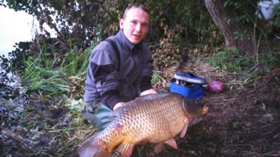 Paprastasis karpis, 12,0 kg