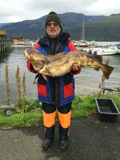 Menkė, 16,5 kg — Norvegijos jūra