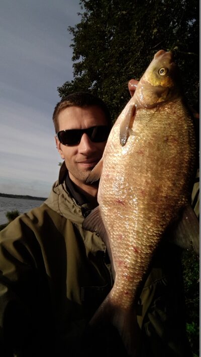 Karšis, 2,4 kg