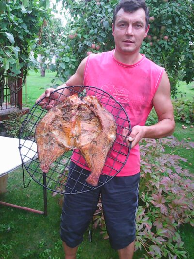 Karšis, 3,1 kg