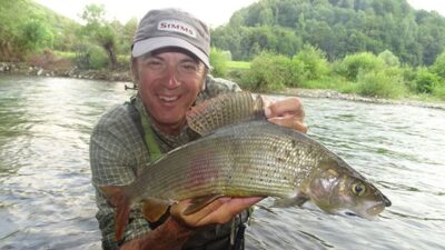 Kiršlys, 1,9 kg — Limas