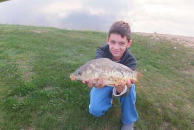 Paprastasis karpis, 1,2 kg
