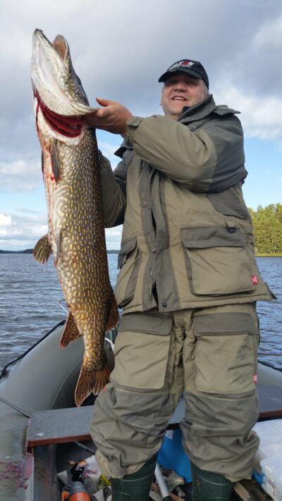 Lydeka, 13,4 kg