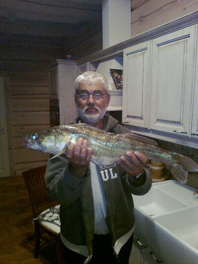 Starkis, 2,9 kg