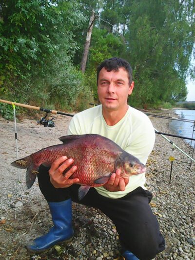 Karšis, 3,1 kg — Kauno marių