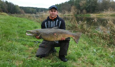 Atlantinė lašiša, 11,0 kg — Neris