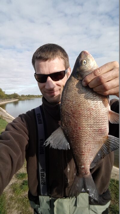 Karšis, 1,6 kg