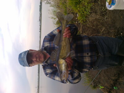 Starkis, 0,2 kg