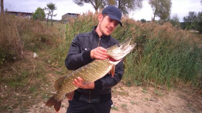 Lydeka, 4,1 kg — Lampėdis