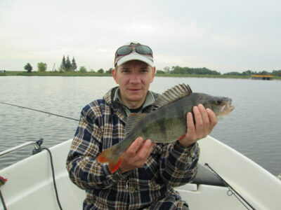 Ešerys, 1,3 kg