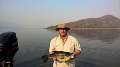 Largemouth Bass, 4,1 kg