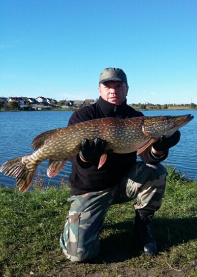 Lydeka, 6,3 kg