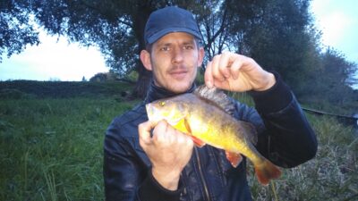 Ešerys, 0,5 kg — Nevėžis