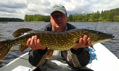 Lydeka, 4,6 kg — Lukštas