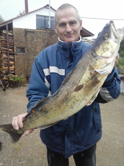 Starkis, 5,2 kg — Beržėnų