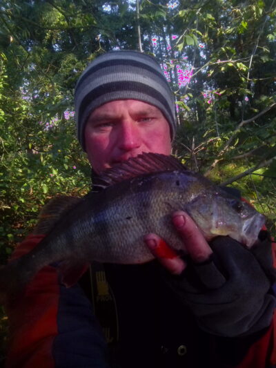 Ešerys, 1,0 kg — Kauno marių