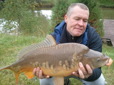 Paprastasis karpis, 6,2 kg